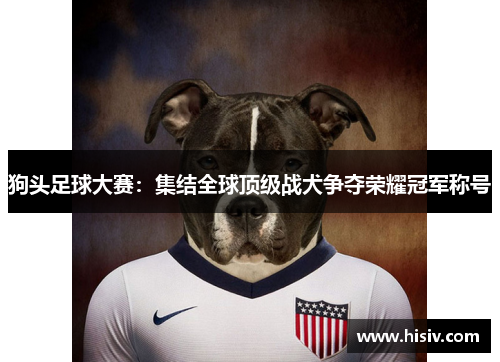 狗头足球大赛：集结全球顶级战犬争夺荣耀冠军称号