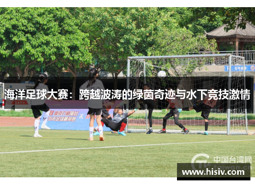 海洋足球大赛：跨越波涛的绿茵奇迹与水下竞技激情